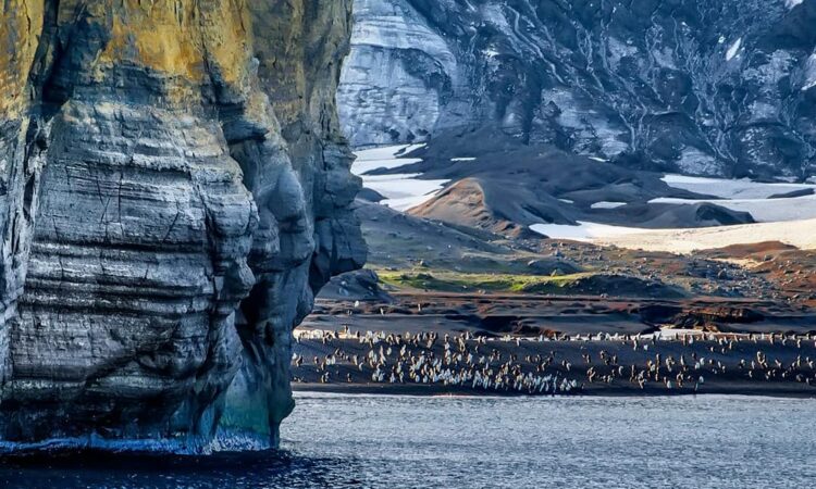 Antarctica