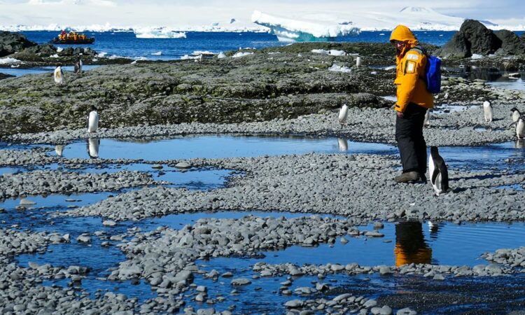 Antarctica